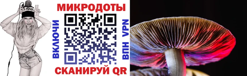 Псилоцибиновые грибы ЛСД  как найти   Ижевск 